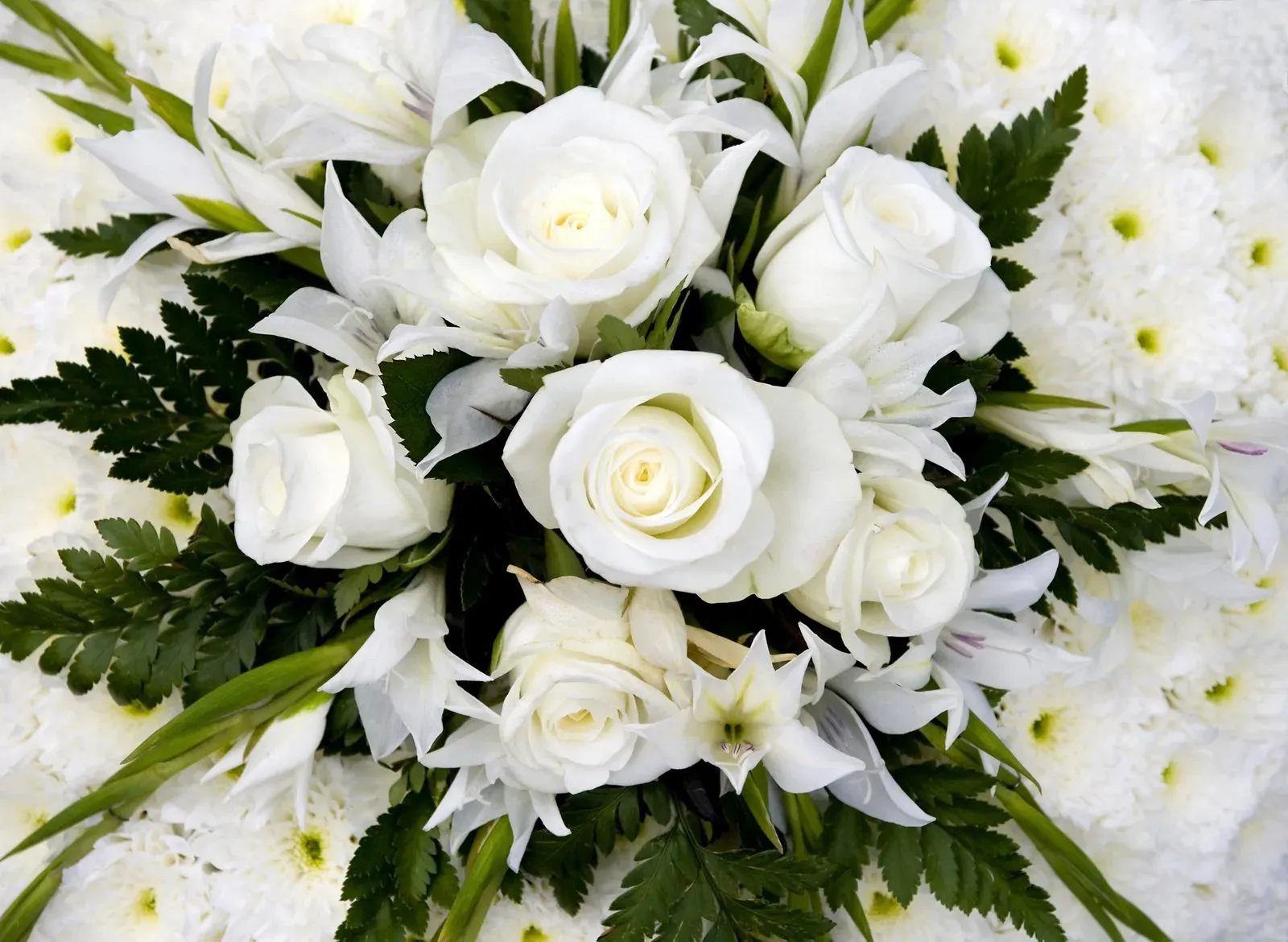 White rose funeral tribute arranged by Brunskill Family Funerals, Chessington